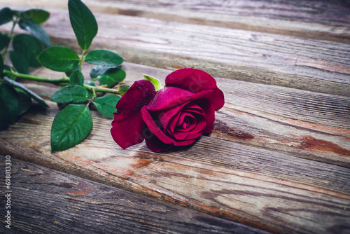 Fototapeta Naklejka Na Ścianę i Meble -  Beautiful red rose with a beautiful background, background with a rose