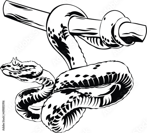 Cartoon Black and White Isolated Illustration Vector Of A Snake Wrapped Around A Tree Branch photo