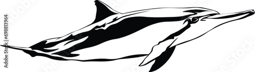 Cartoon Black and White Isolated Illustration Vector Of A Dolphin Pod Swimming
