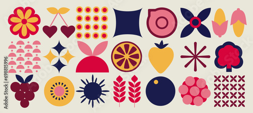 Bauhaus. Abstract geometric pattern of fruits and vegetables. Shapes of natural organic flowers, modern brand packaging design, minimal botanical eco farming concept