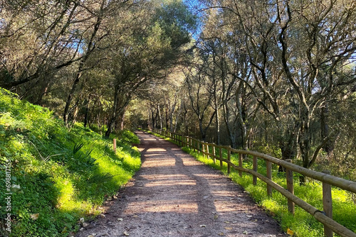 Walkway in the forest in the mountains of Catalonia, Spain.