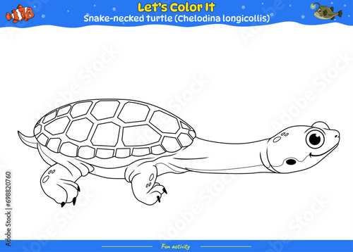 Lets color it Snake-necked turtle