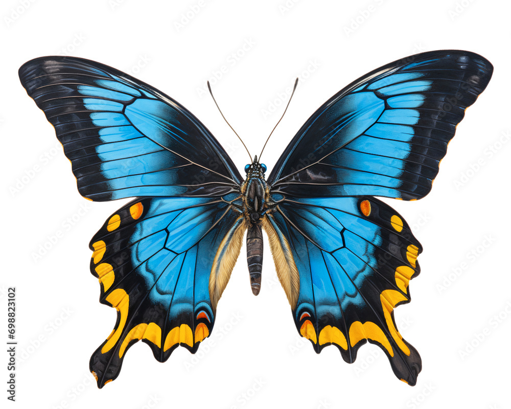 Obraz premium Beautiful flying butterfly isolated on white, transparent background