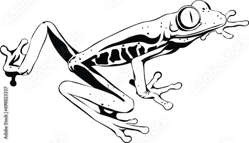 Cartoon Black and White Isolated Illustration Vector Of A Tree Frog