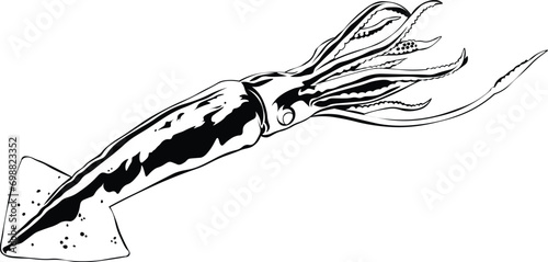 Cartoon Black and White Isolated Illustration Vector Of A Camouflaged Squid