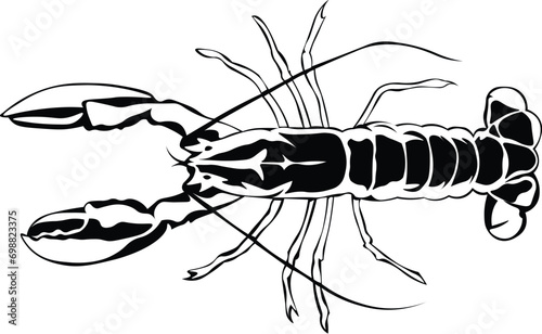 Cartoon Black and White Isolated Illustration Vector Of A Lobster 