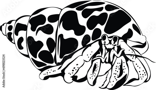 Cartoon Black and White Isolated Illustration Vector Of A Hermit Crab In Its Shell