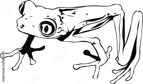 Cartoon Black and White Isolated Illustration Vector Of A Tree Frog