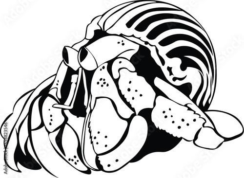 Cartoon Black and White Isolated Illustration Vector Of A Hermit Crab In Its Shell