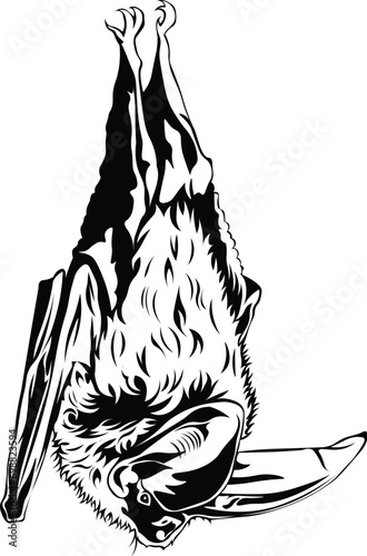 Cartoon Black and White Isolated Illustration Vector Of A Bat Hanging Upside Down