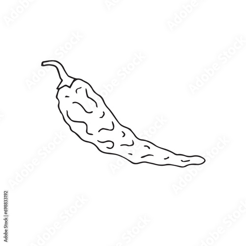 Vector hand drawn doodle sketch dried chili pepper isolated on white background
