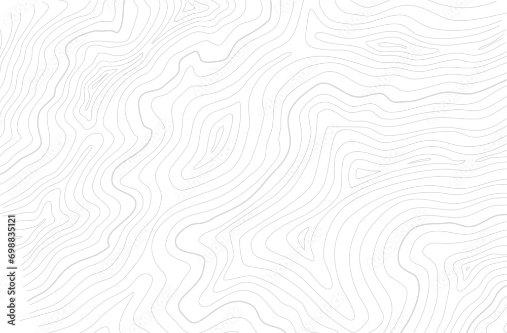 Fototapeta premium topographic contour background. contour lines background. Topographic map background. abstract wavy background. Topographic map contour background.