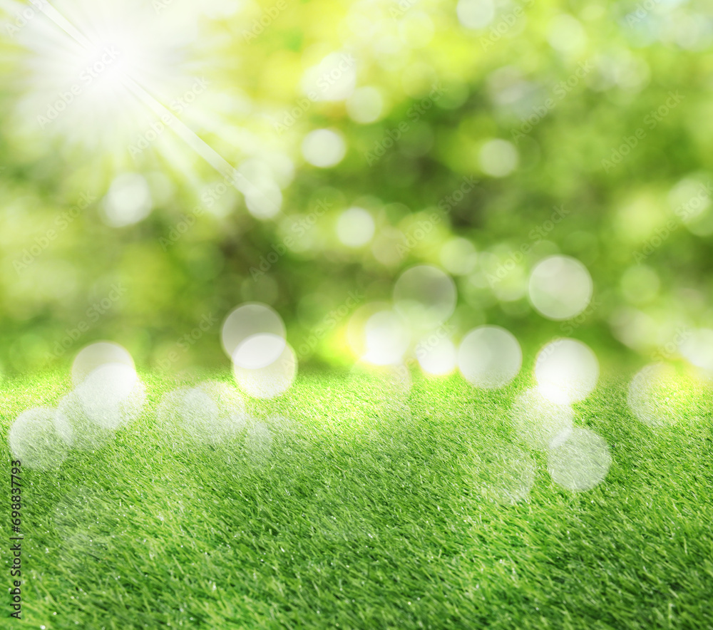 Obraz premium Vibrant green grass outdoors on sunny day