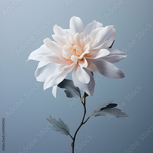 dahlia flower in studio background, single dahlia flower, Beautiful flower, ai generated image