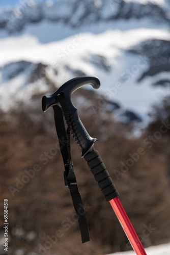 bastão de caminhada vermelho e preto preso a neve e ao fundo uma vegetação marrom e a montanha com neve desfocados. photo