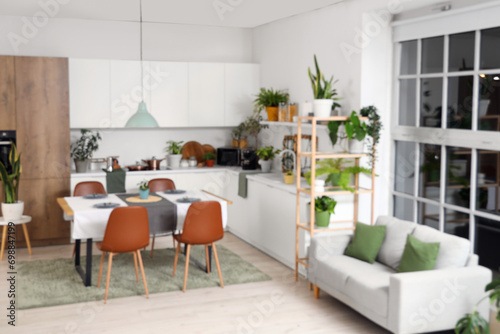 Blurred view of kitchen with green plants  dining table and counters