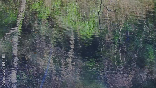 水鳥池のさざなみ