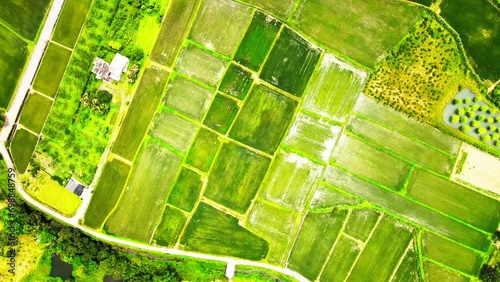 Aerial view of Danongdafu Forest Park located at Hualien, eastern Taiwan photo