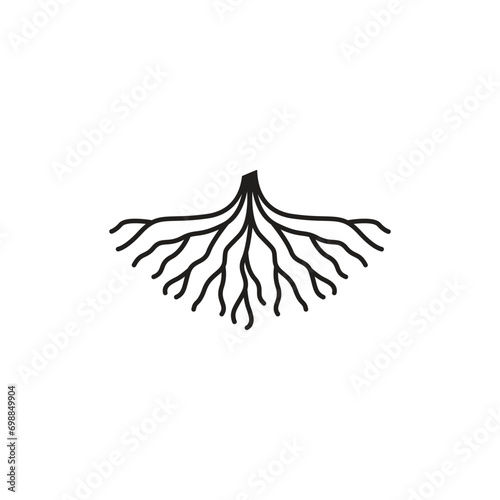 root icon vector