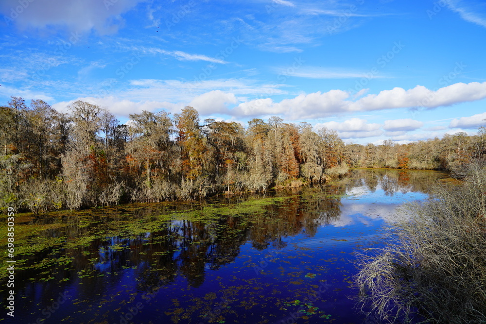 Fototapeta premium The winter landscape of Hillsborough river and Lettuce park at Tampa, Florida 