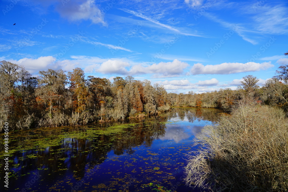 The winter landscape of Hillsborough river and Lettuce park at Tampa, Florida
