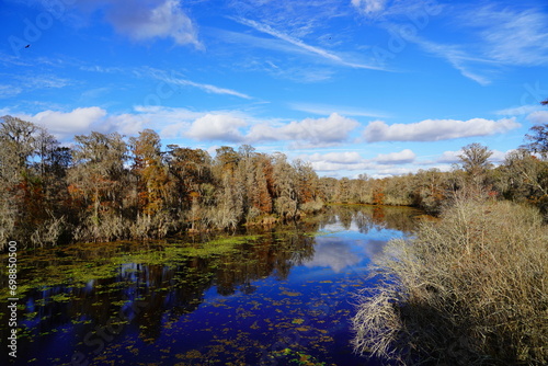 The winter landscape of Hillsborough river and Lettuce park at Tampa, Florida 