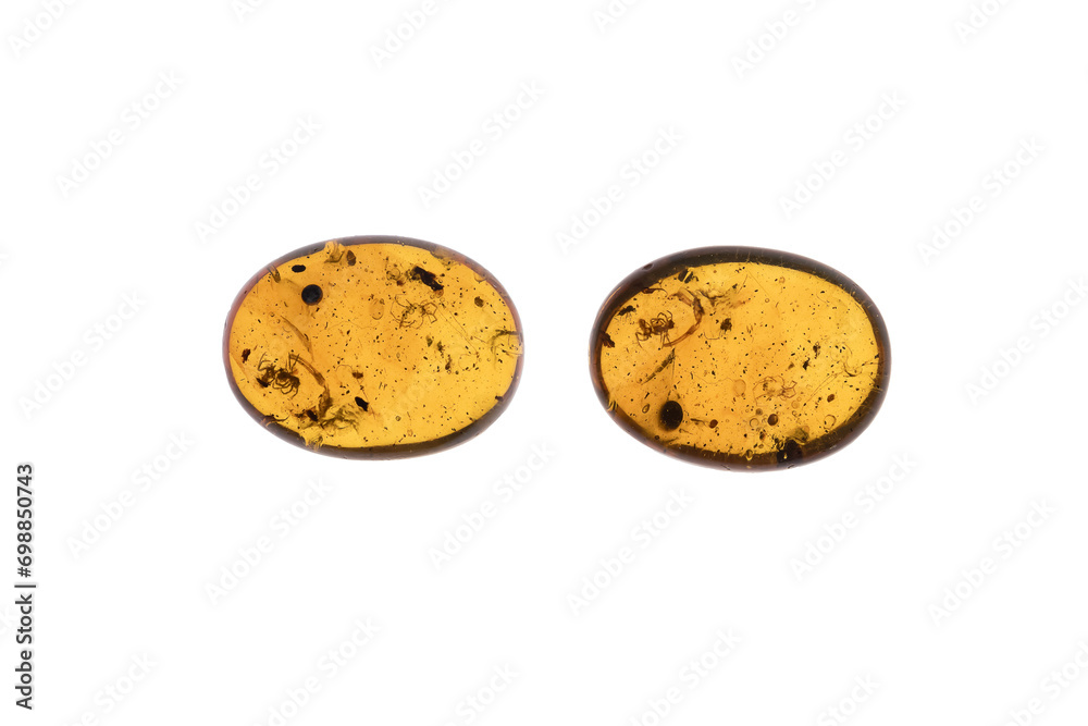 Burmite Amber with Insects Inclusions Burmite Amber with Insects Inclusions
