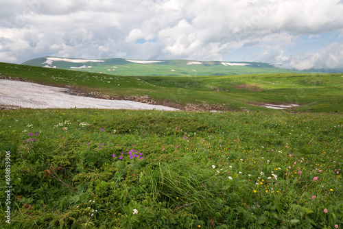 View of the alpine meadows of the Lago-Naki plateau in the mountains of the Western Caucasus on a sunny summer day, Caucasian Reserve, Republic of Adygea, Russia photo