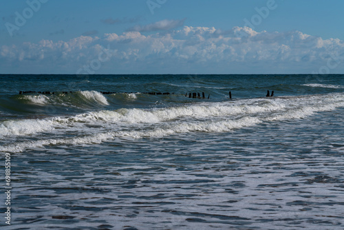 Fototapeta Naklejka Na Ścianę i Meble -  View of the Baltic Sea and wooden breakwaters on the Curonian Spit beach on a sunny summer day, Kaliningrad region, Russia