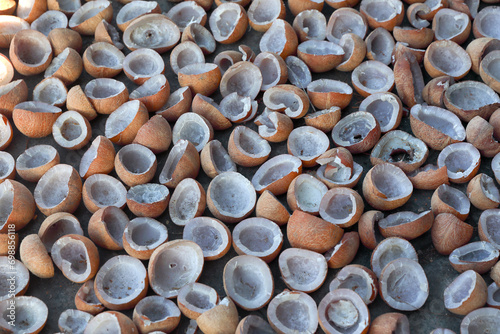 Dried coconuts for making oil photo