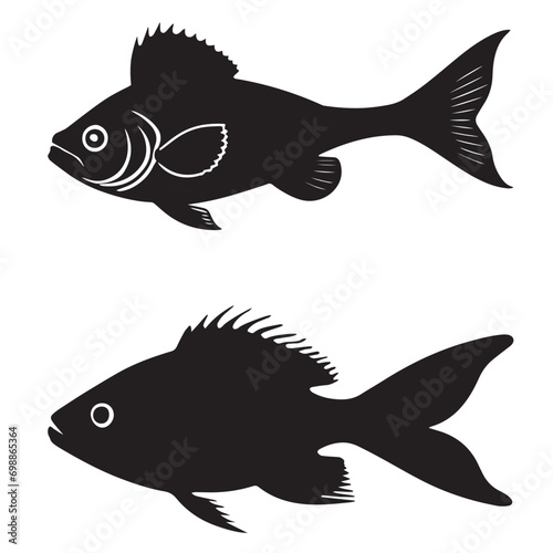 Canary silhouettes and icons. Black flat color simple elegant white background Canary animal vector and illustration.