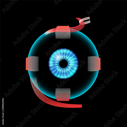 Extraocular muscles anatomy