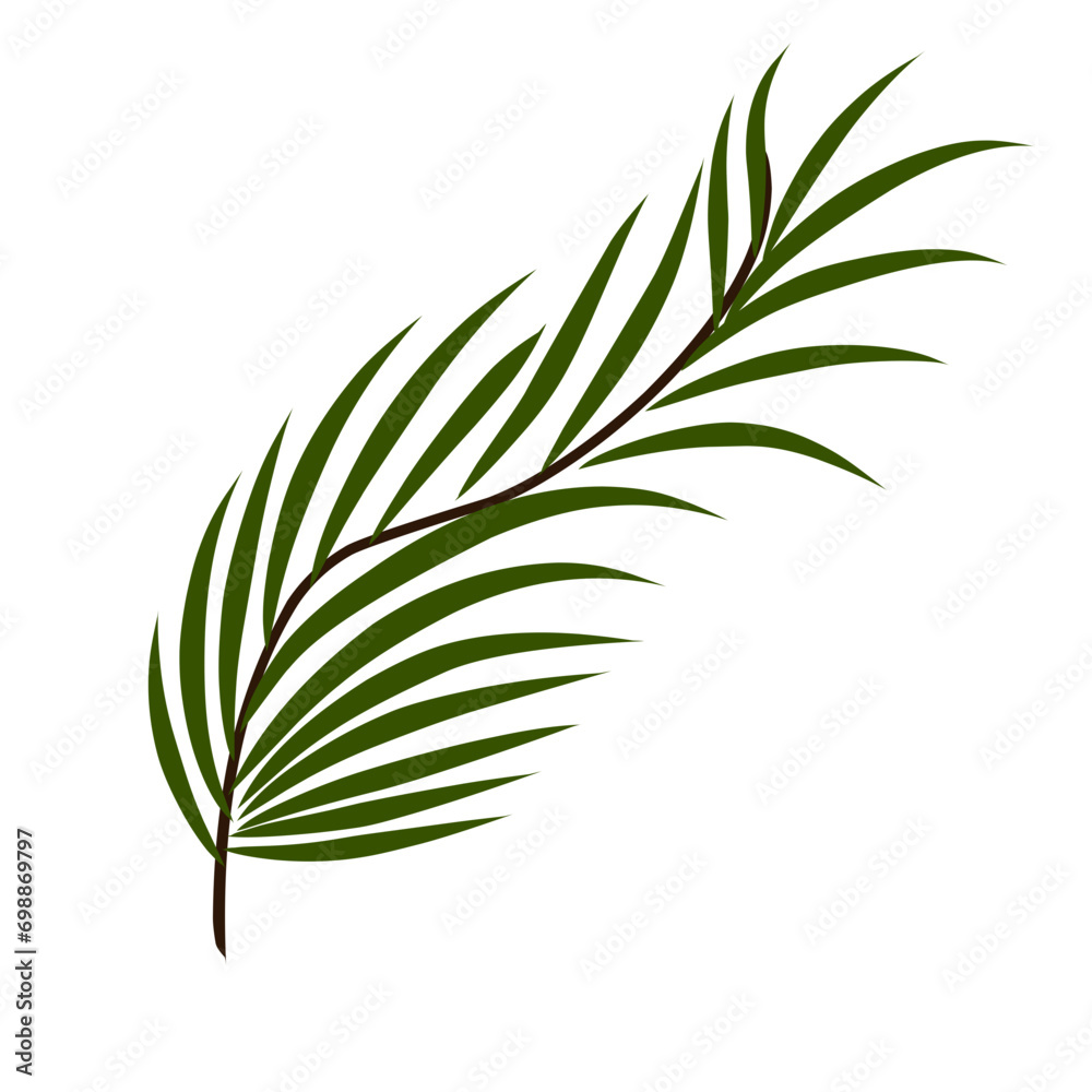Obraz premium Green coconut leaves 