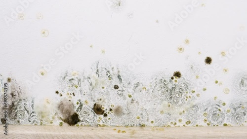 Mould and fungus growth on wall surface. Problem of ventilation and dampness in home interior. photo