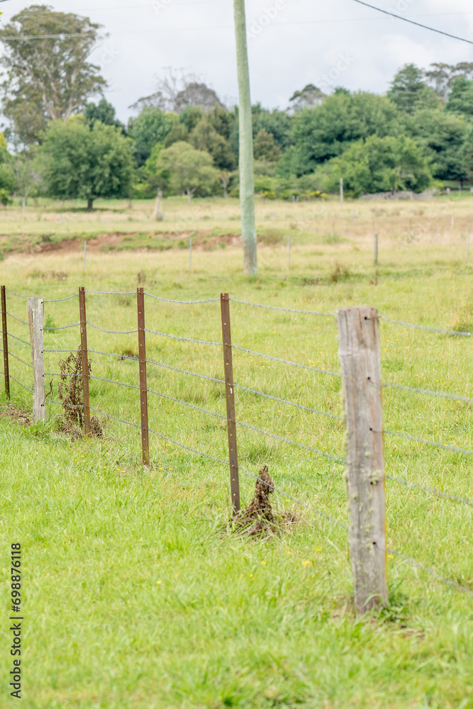 wire fence on farm