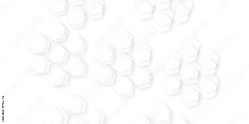 Background with hexagons . Abstract background with lines . white texture background . hexagon abstract background.geometric mesh cell texture. Background with hexagons . Abstract background with lines . white texture background . hexagon abstract background.geometric mesh cell texture.