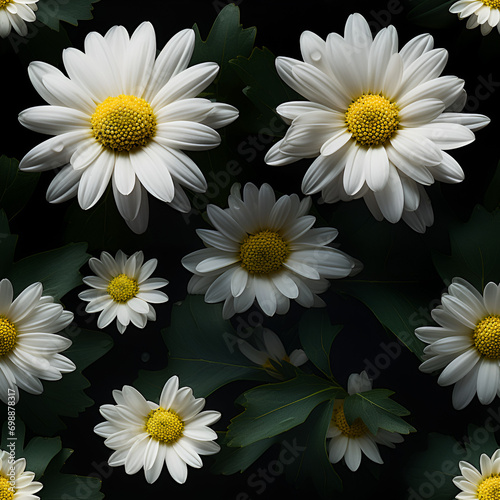 Daisy  White petals radiating from a bright yellow center  with simple green foliage and delicate stems