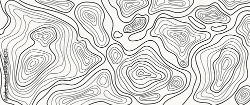 Topographic map pattern background vector. Abstract mountain terrain map background with abstract shape line texture. Design illustration for wall art, fabric, packaging, web, banner, wallpaper.