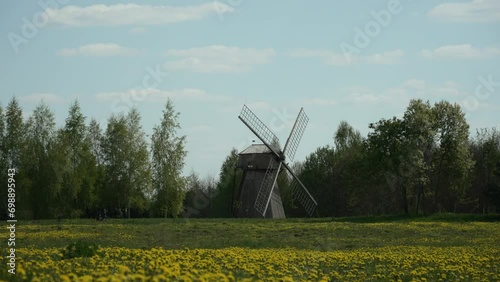 Old wooden windmill near picturesque blooming yellow field. Rural landscape with dandelions on sunny spring day against blue sky. Country idyll and ideal weather for travel and tourism. photo