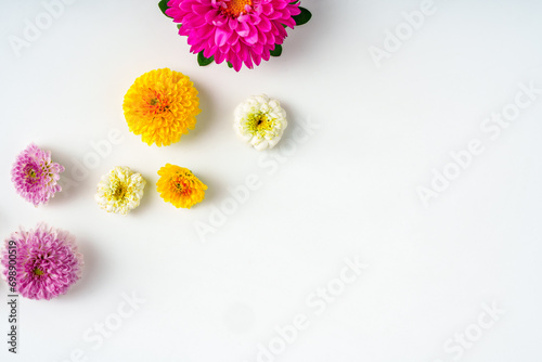 Small spring flowers arranged on white background