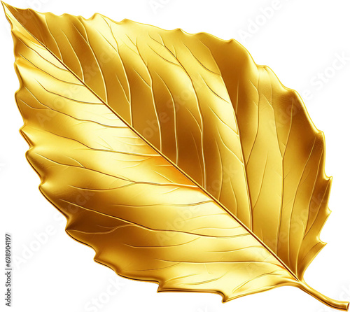 투명한 배경 위에 황금 나뭇잎 photo