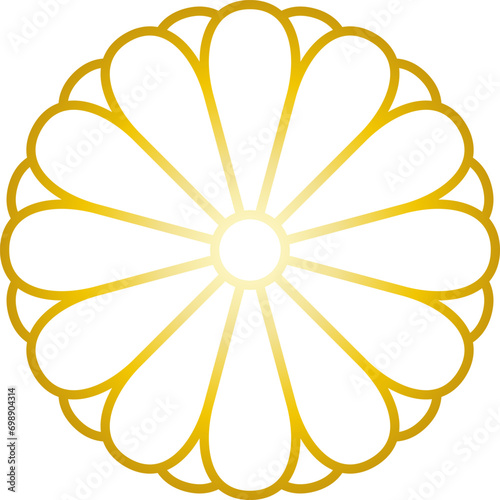 陰八重十二菊ゴールド