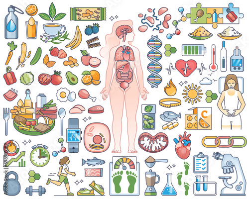 Metabolism, digestive system, healthy eating or slimming outline collection set, transparent background. Nutrition, body mass index for weight control and food products for overweight illustration.