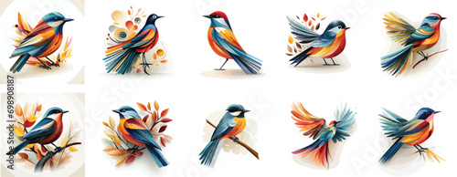 set of colorful illustration of bird
