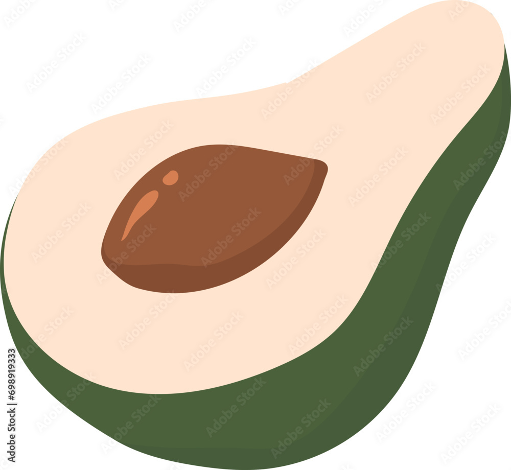 avocado illustration avocado illustration