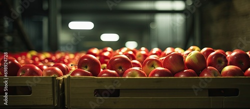 Apple being prepared for cold storage in a factory. photo