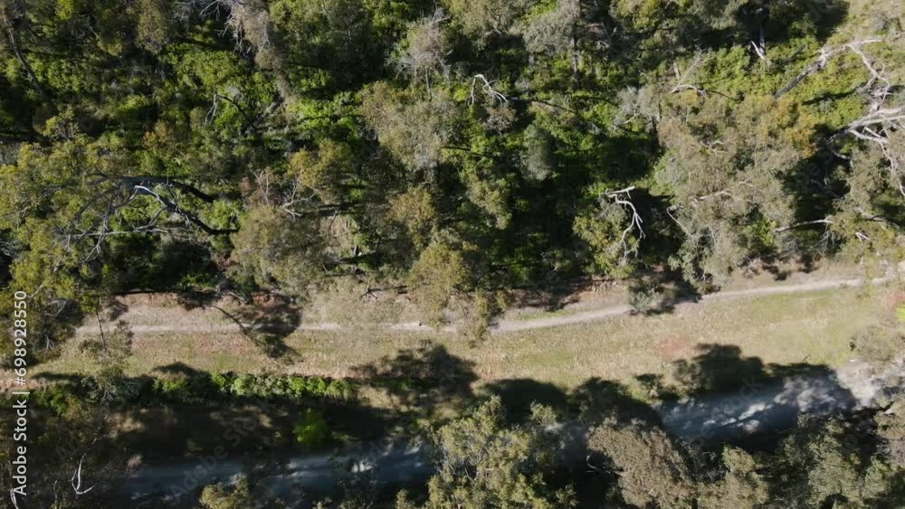 Drone Aerial facing down over lush Dandenong mountains in Australia showing someone running on trail Drone Aerial facing down over lush Dandenong mountains in Australia showing someone running on trail