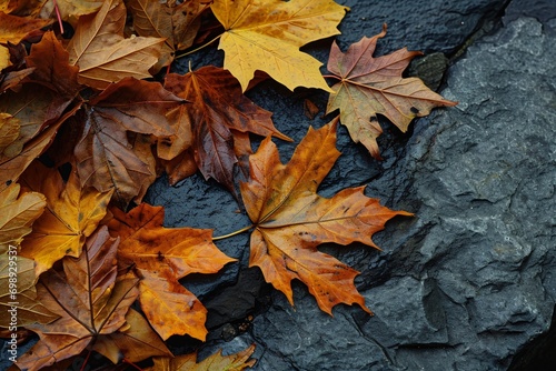 Fallen Leaves on a Rocky Surface