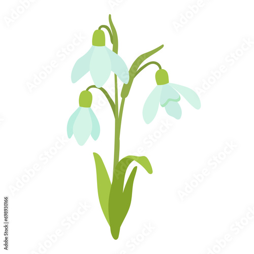 January birth month flower snowdrop flat cartoon vector illustration. Hand drawn floral spring bouquet isolated on white.