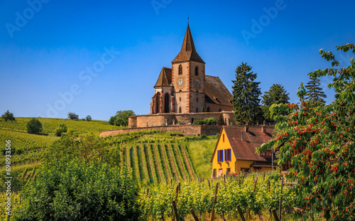 Mixed Protestant and Catholic Church of Saint Jacques le Majeur and grape vines at a vineyard, Hunawihr, a village on the Alsatian Wine Route, France